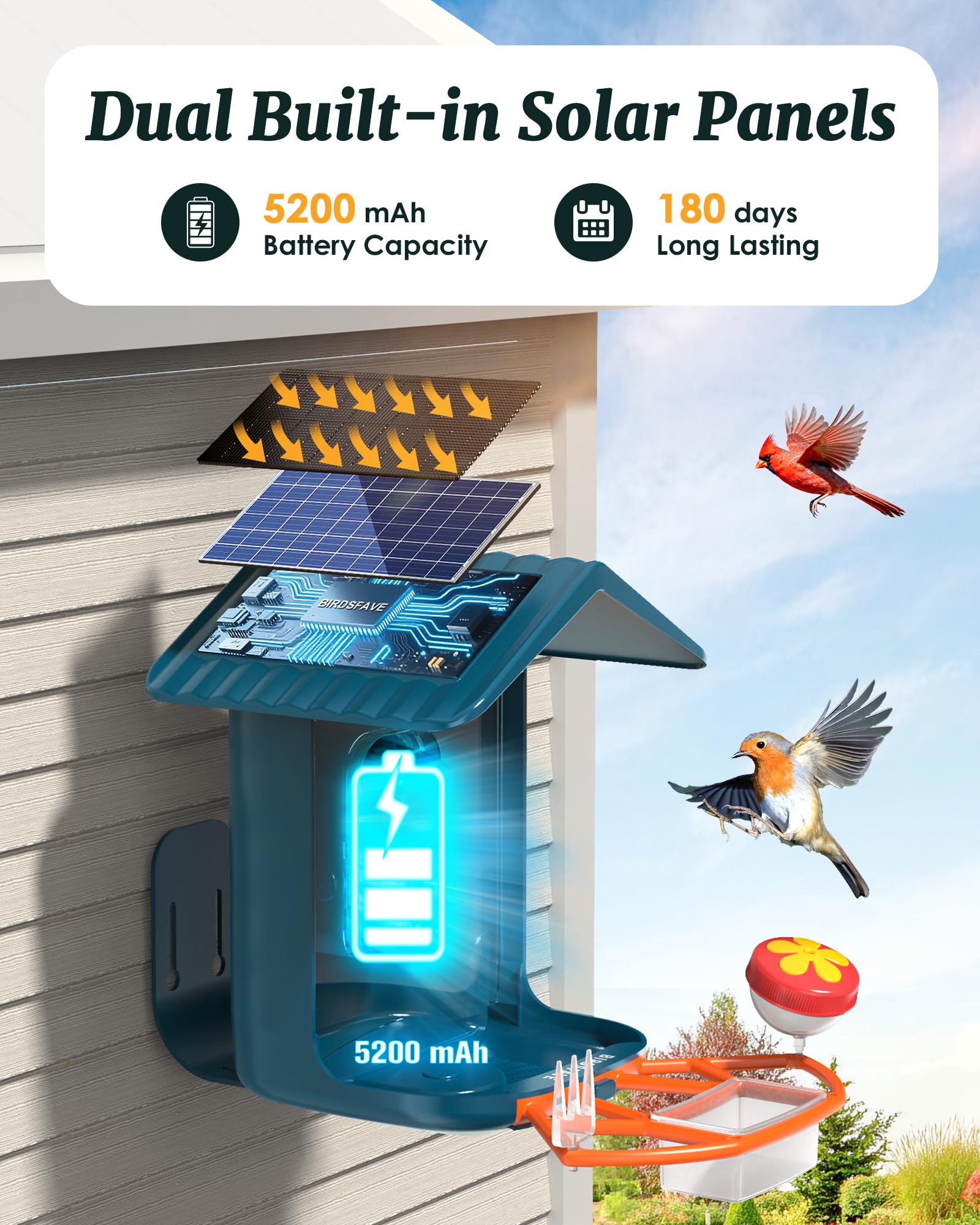 BIRDSFAVE dual solar panels on top supplying continuous daytime power