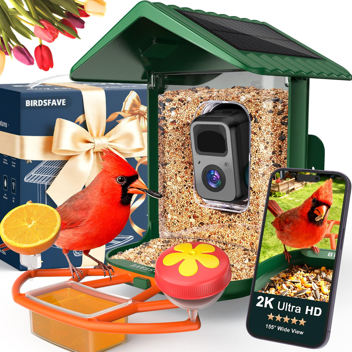 BIRDSFAVE front view of feeder showing camera and perches benefits clear monitoring