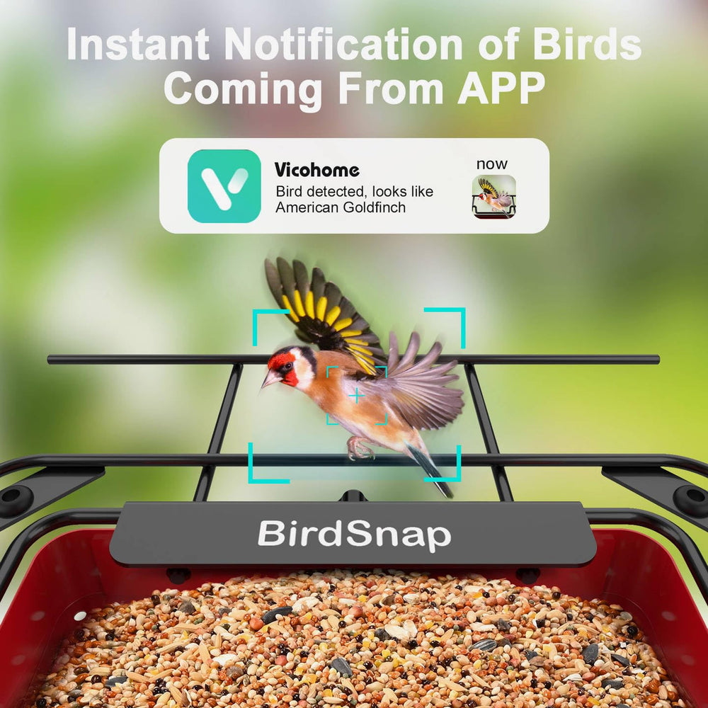 birdsnap camera lens close-up capturing 2K detail benefit: sharp bird identification footage