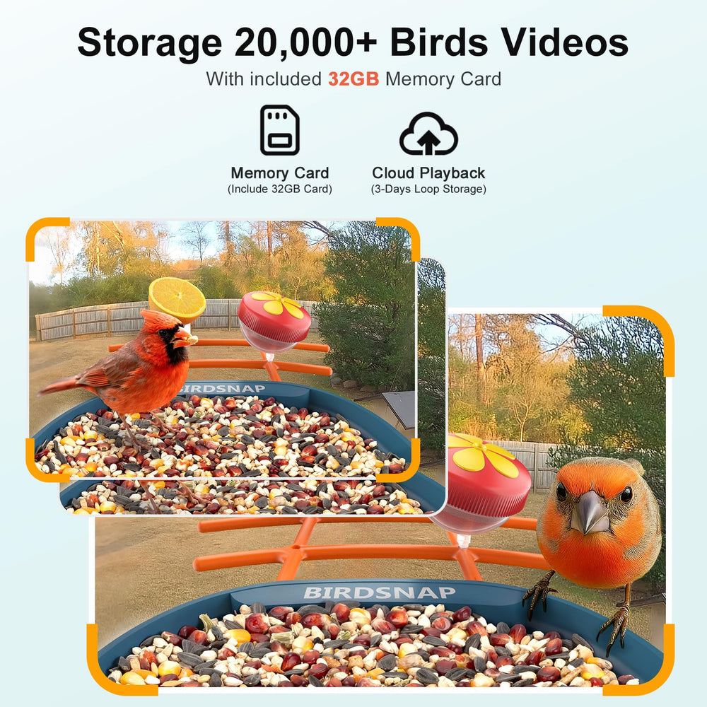 birdsnap 32GB card beside device ports, enables local video storage and easy export