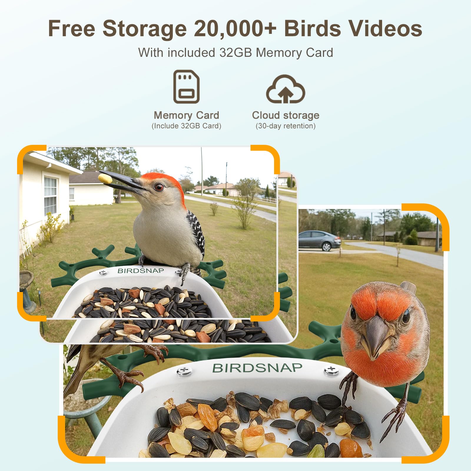 birdsnap included 32GB card for local video storage convenience