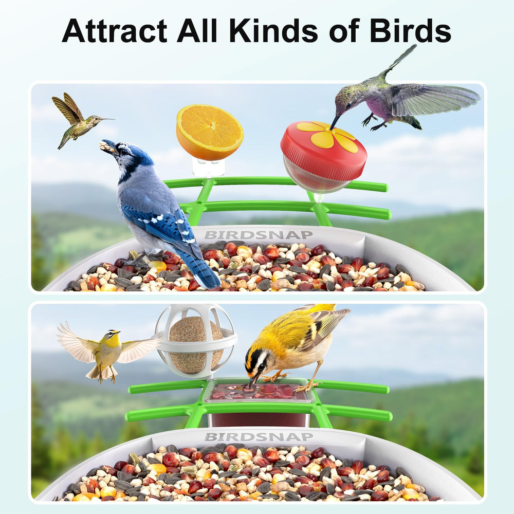 birdsnap 64GB memory card visible for offline video storage