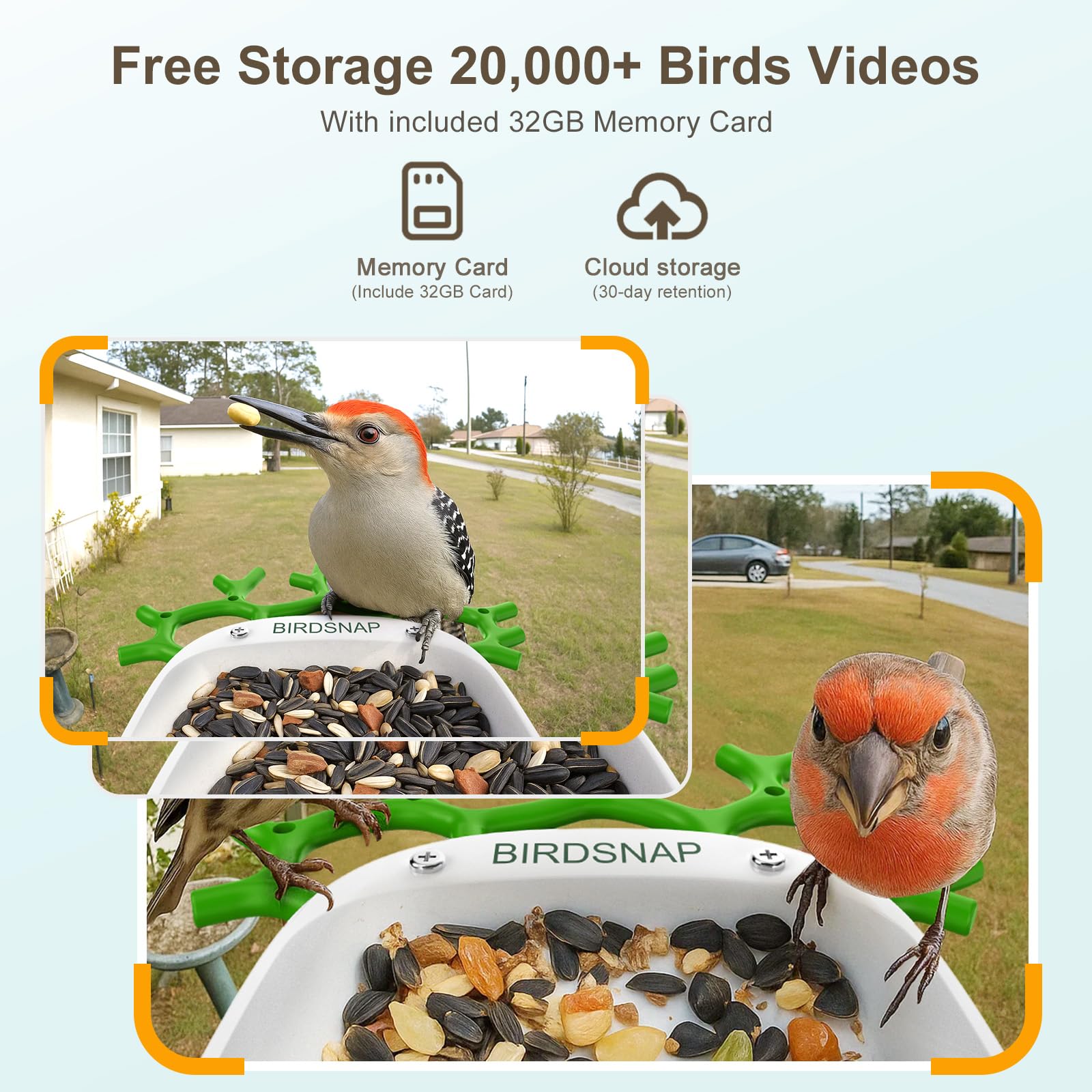 birdsnap app live stream on phone enabling remote birdwatching