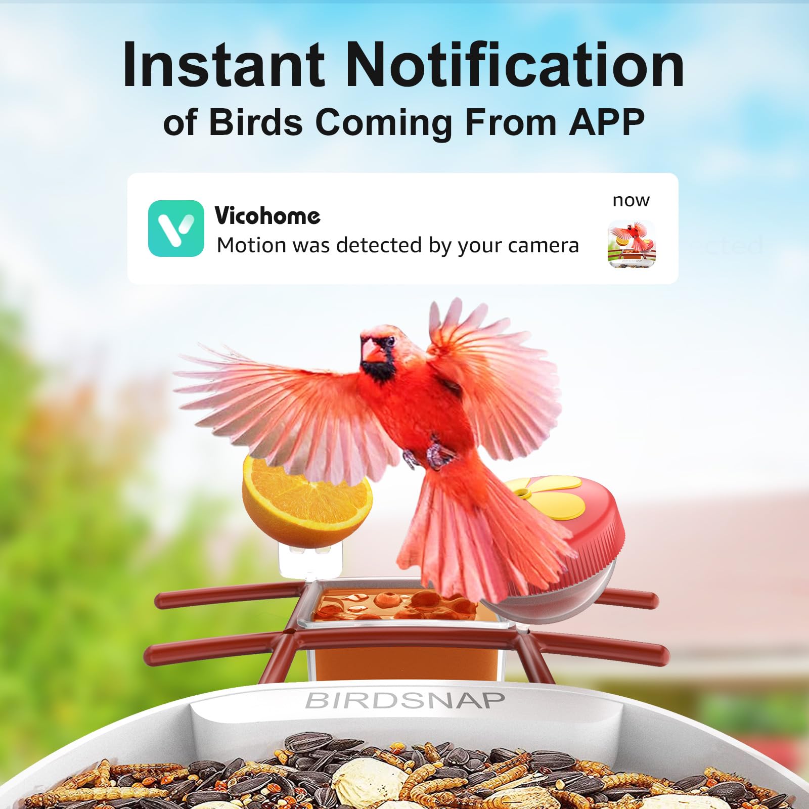 birdsnap close-up of 2K camera lens highlighting detailed video capture