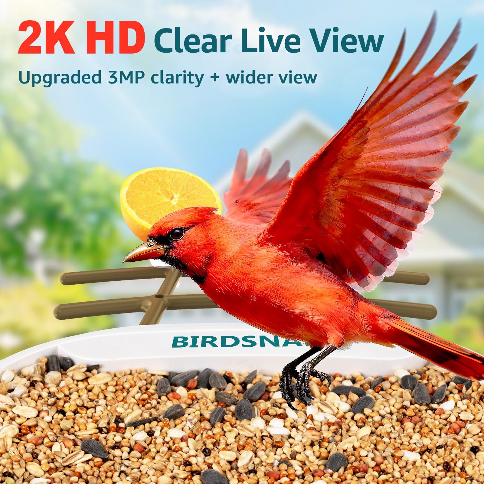 birdsnap camera lens close-up highlighting 2K quality and detail