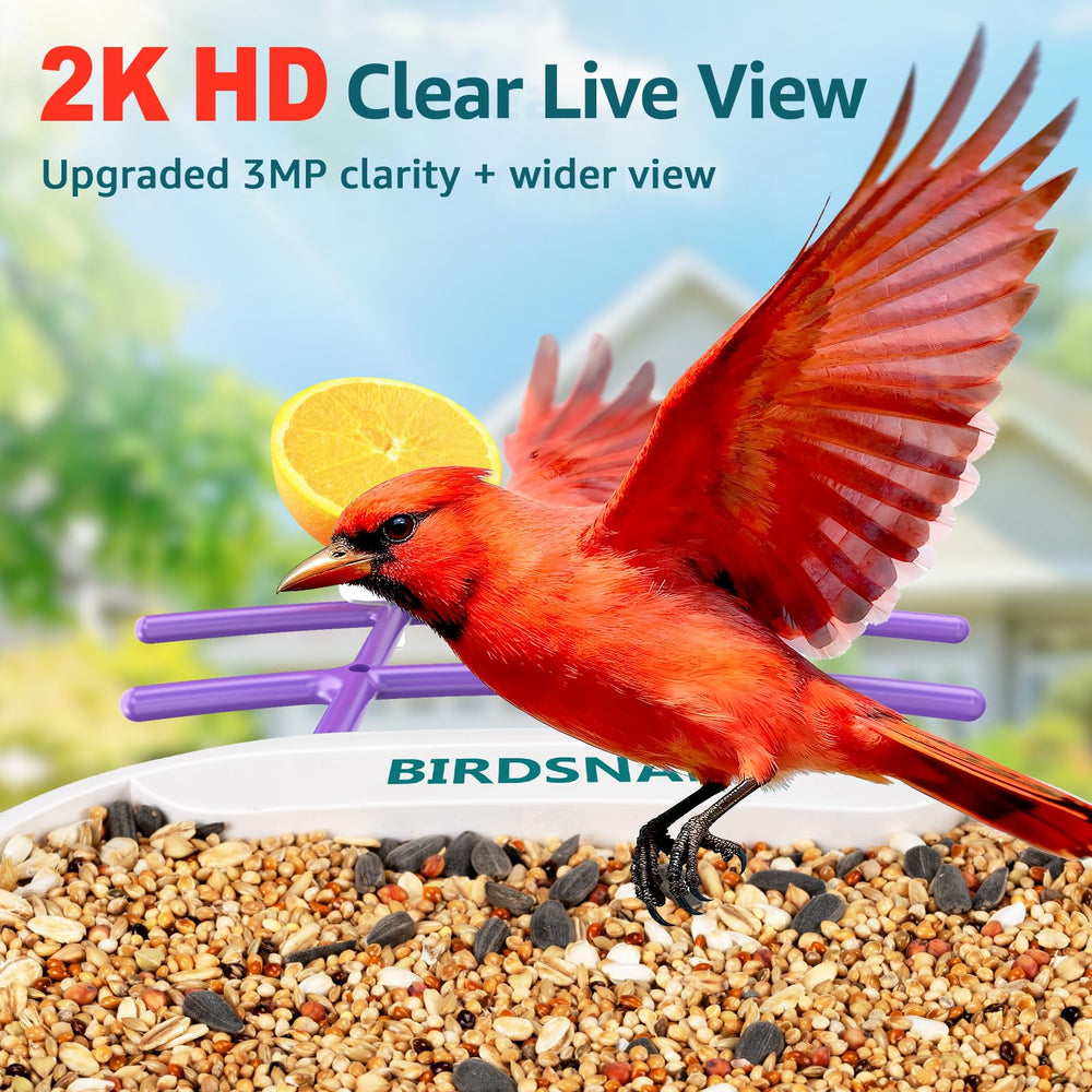 birdsnap close-up of camera lens highlighting 2K video detail