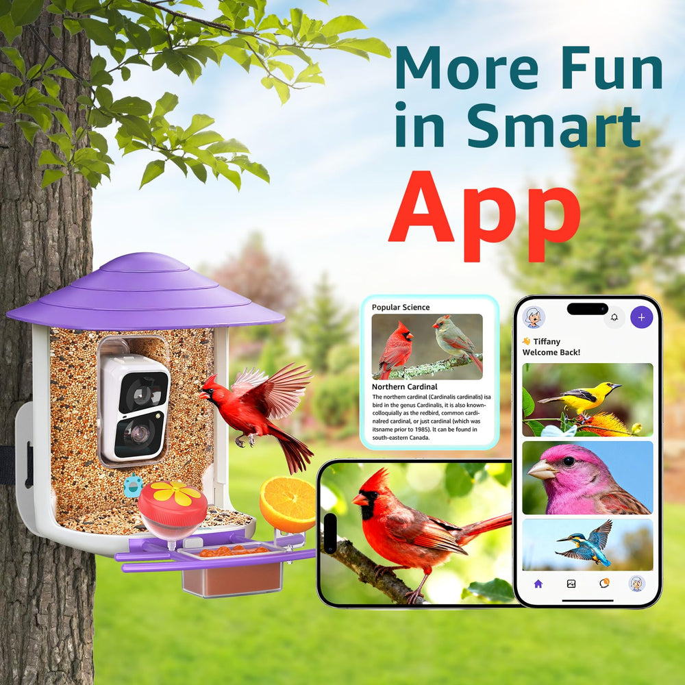 birdsnap three DIY attachments to attract varied bird species