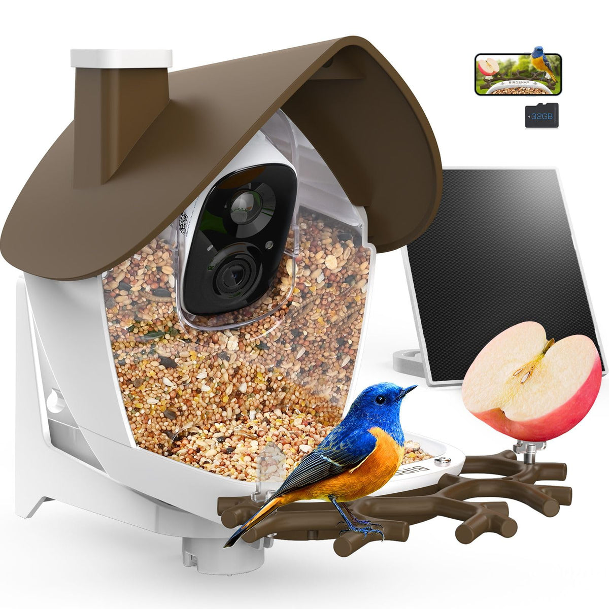 birdsnap front view showing feeder and camera, easy backyard monitoring