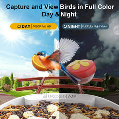 birdsnap five interchangeable feeding attachments attracting different species