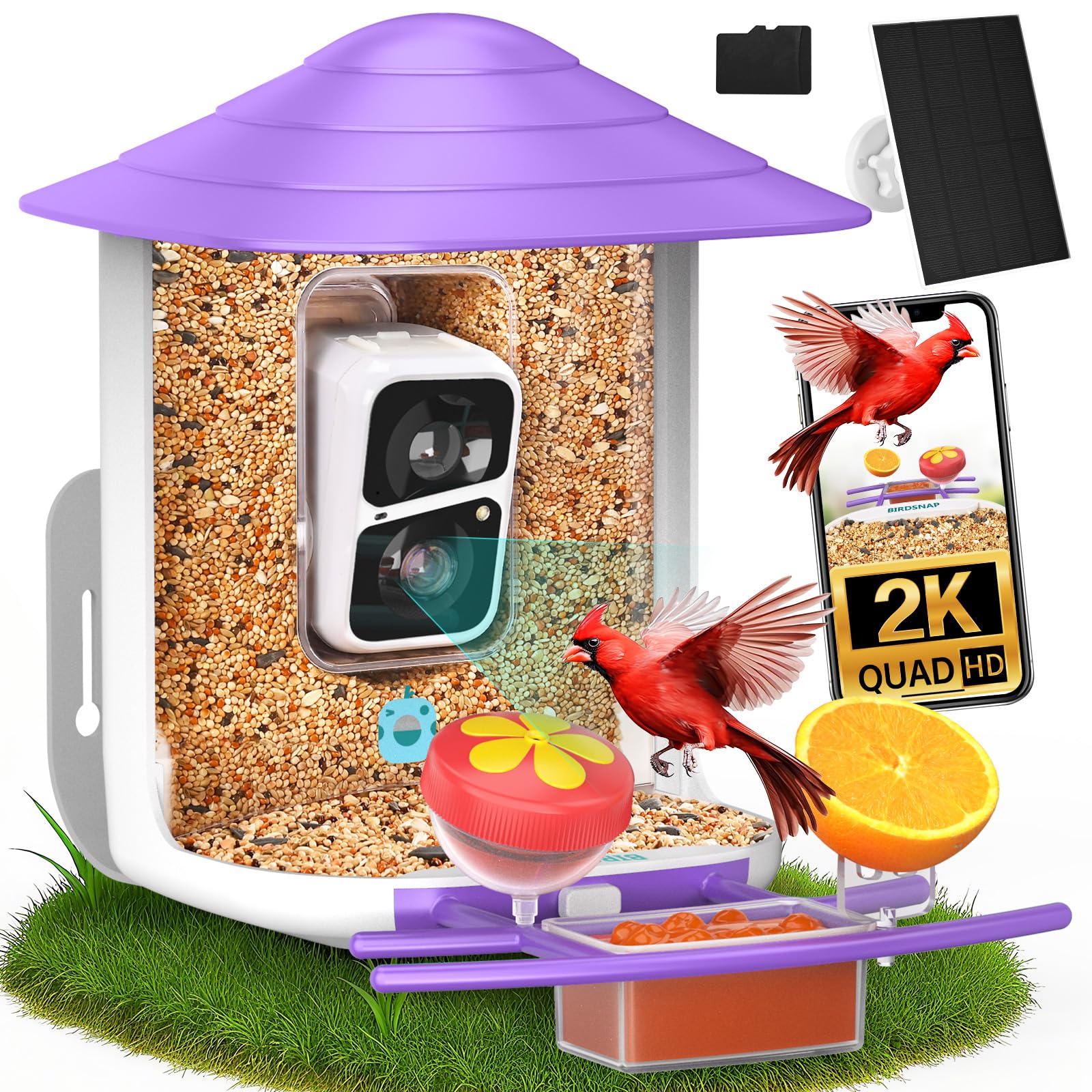 birdsnap front view showing feeder and camera for clear observation