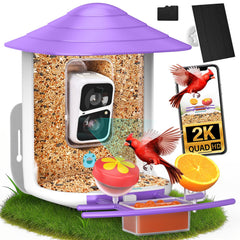 birdsnap front view showing feeder and camera for clear observation