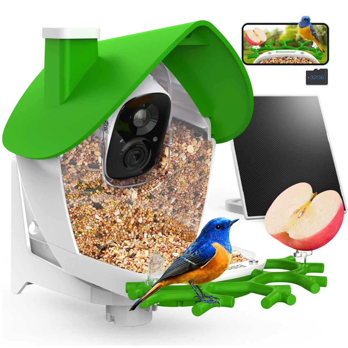 birdsnap front view feeder with camera shows durable design and clear viewing