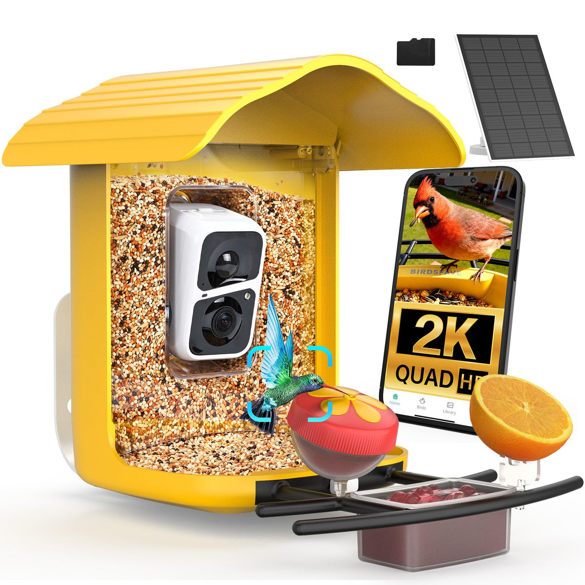 birdsnap front view showing feeder and camera, clear monitoring benefit