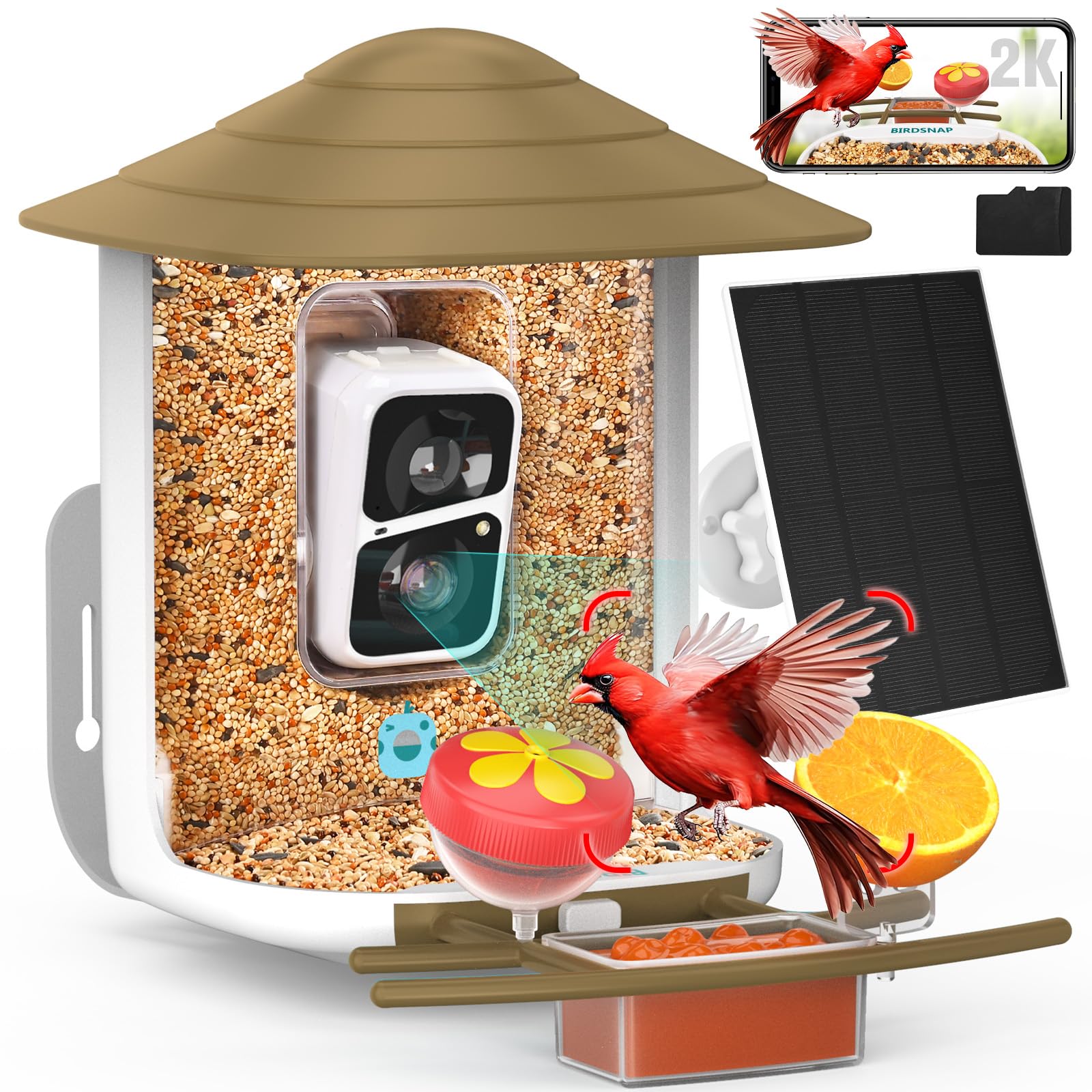 birdsnap front view showing feeder and camera, clear setup benefit