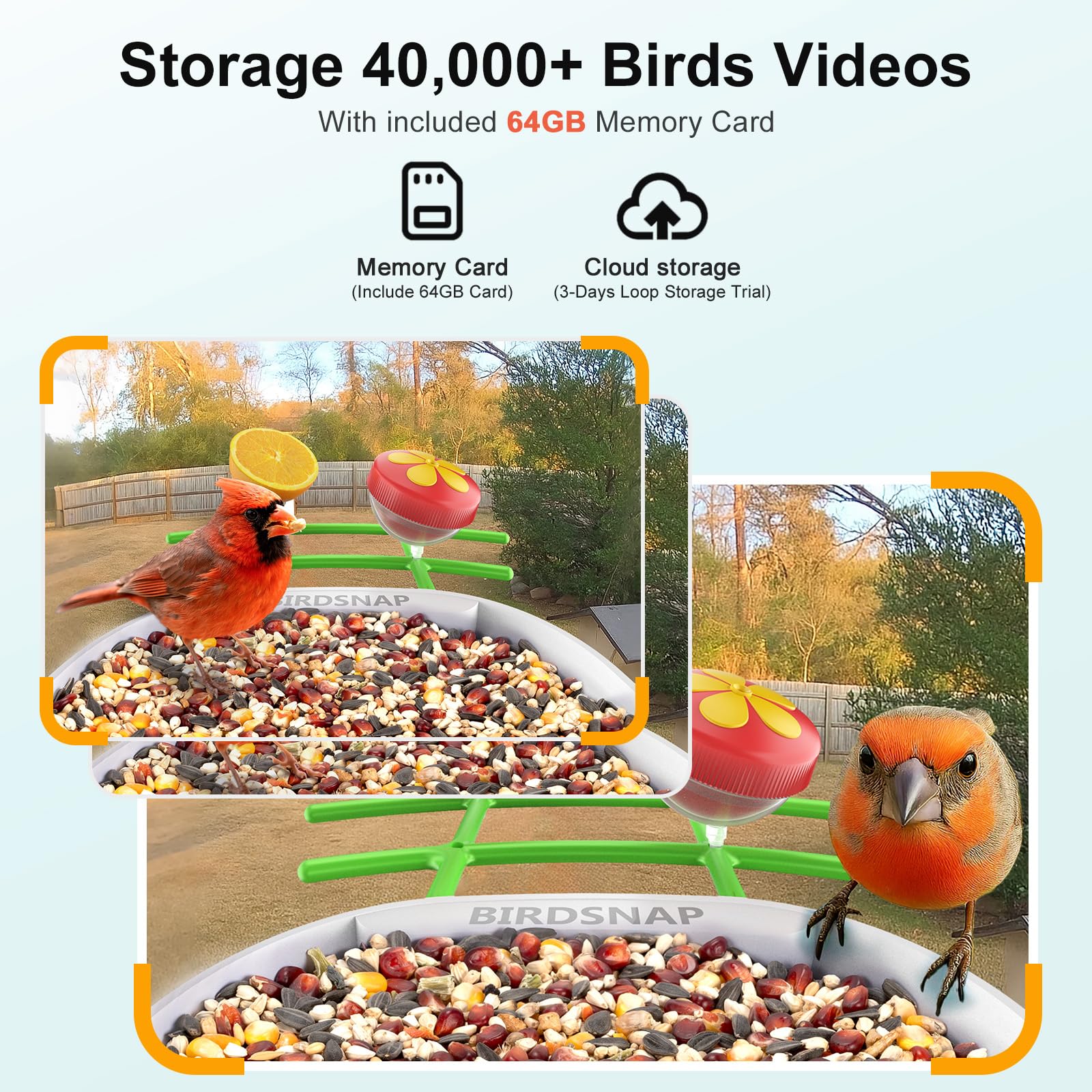 birdsnap feeder installed in backyard capturing birds in action