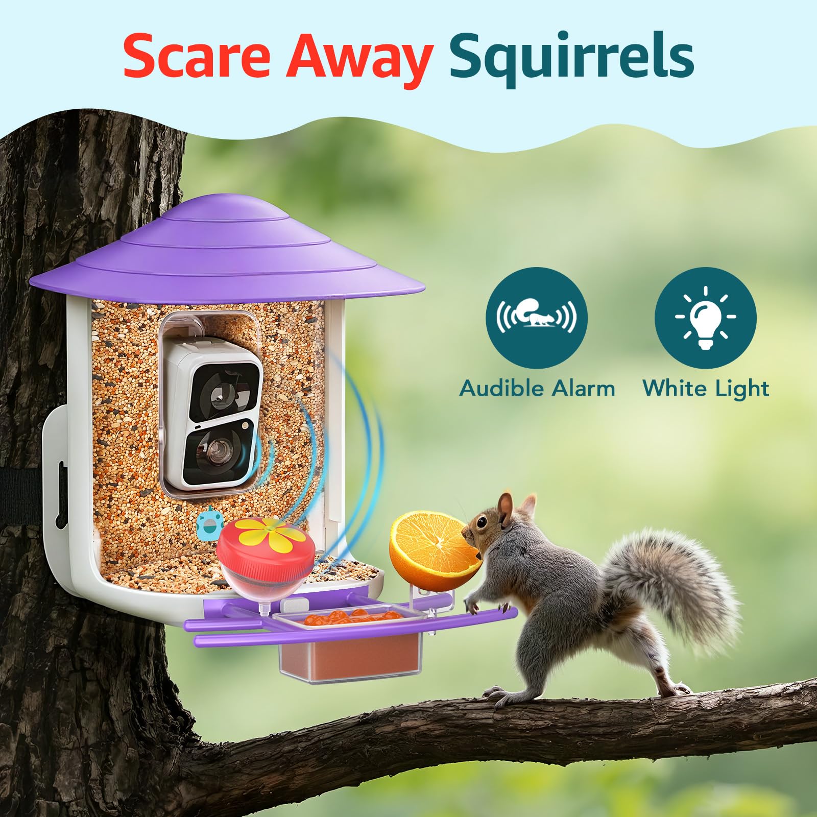 birdsnap feeder in use with birds visiting for realistic backyard viewing