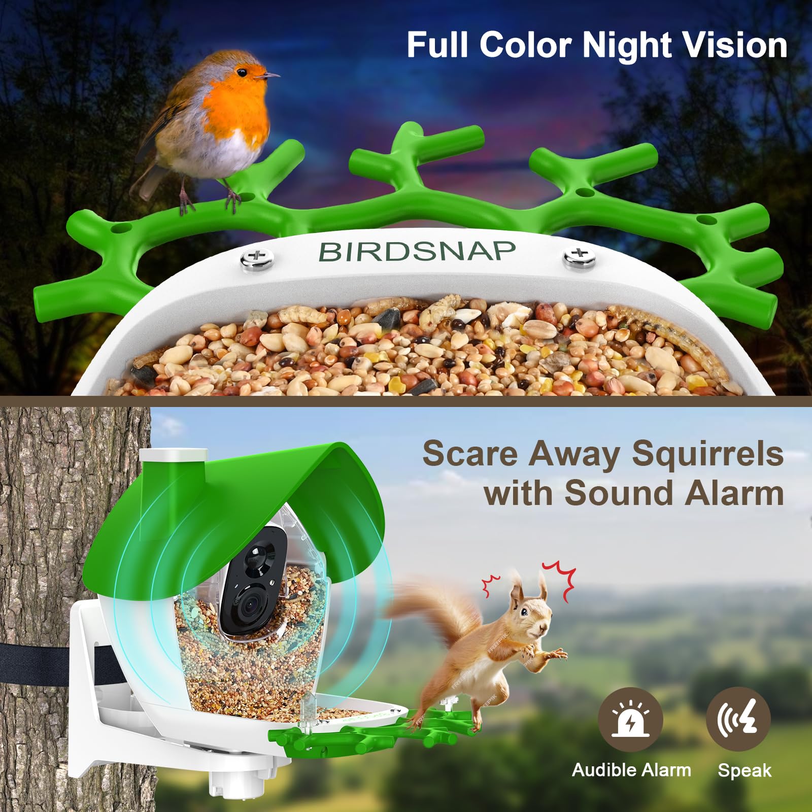 birdsnap feeder hanging in backyard creating engaging wildlife viewing