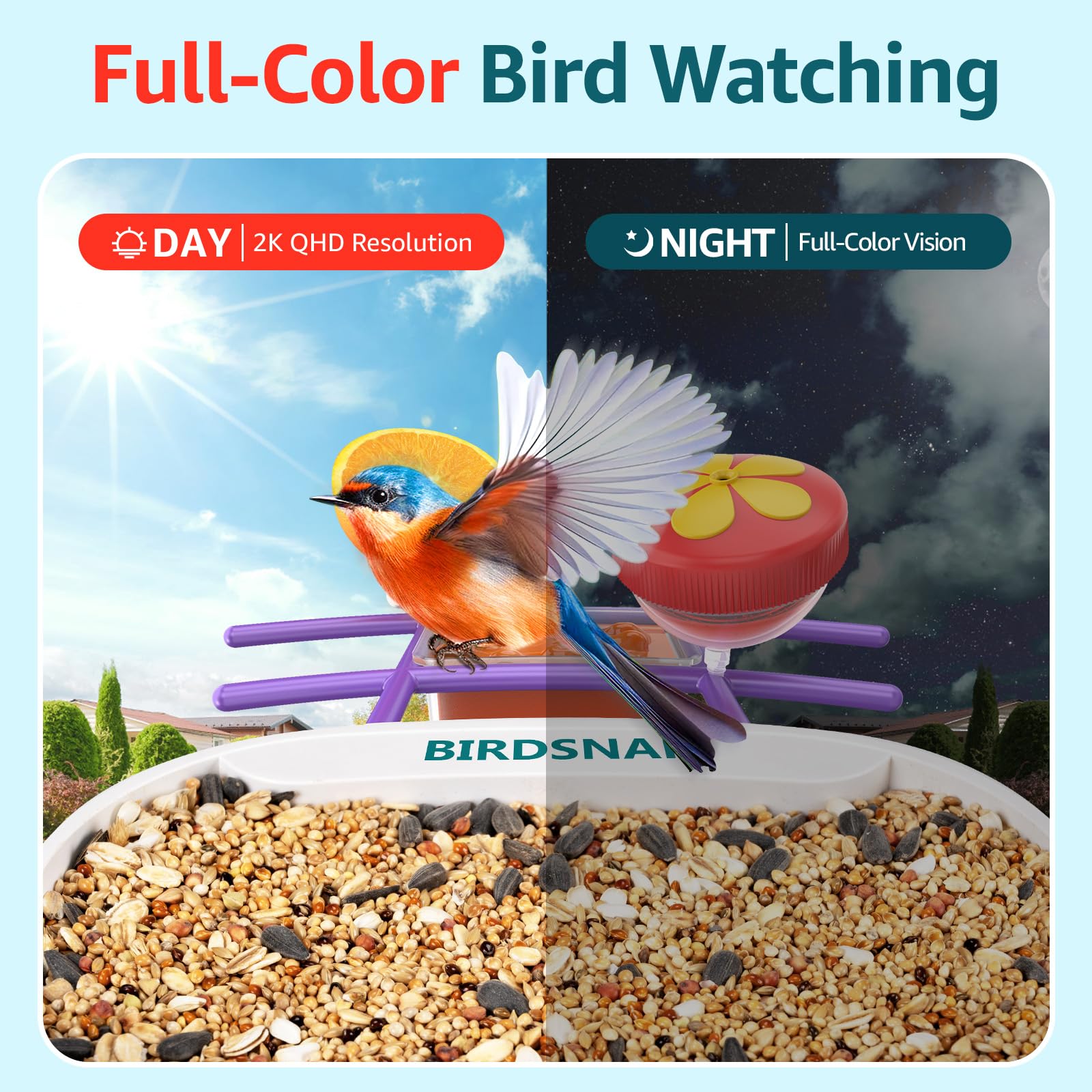 birdsnap mounted on a tree showing easy outdoor installation benefits