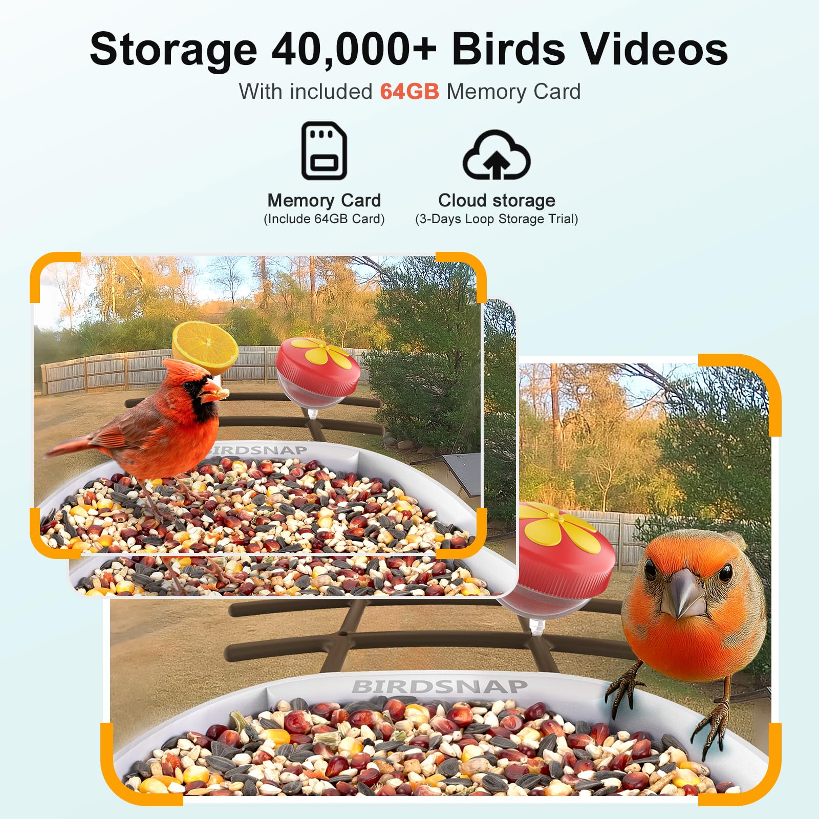 birdsnap 64GB card inserted for on-device storage and easy clip exports