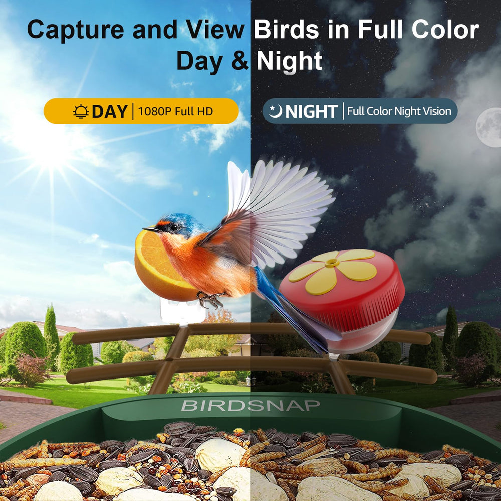 birdsnap PAV app live stream on smartphone for instant viewing and sharing benefit