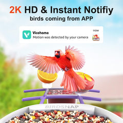 birdsnap camera lens close-up, crisp 2K video detail benefit