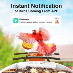 birdsnap camera lens close-up capturing wide-angle birdwatching detail