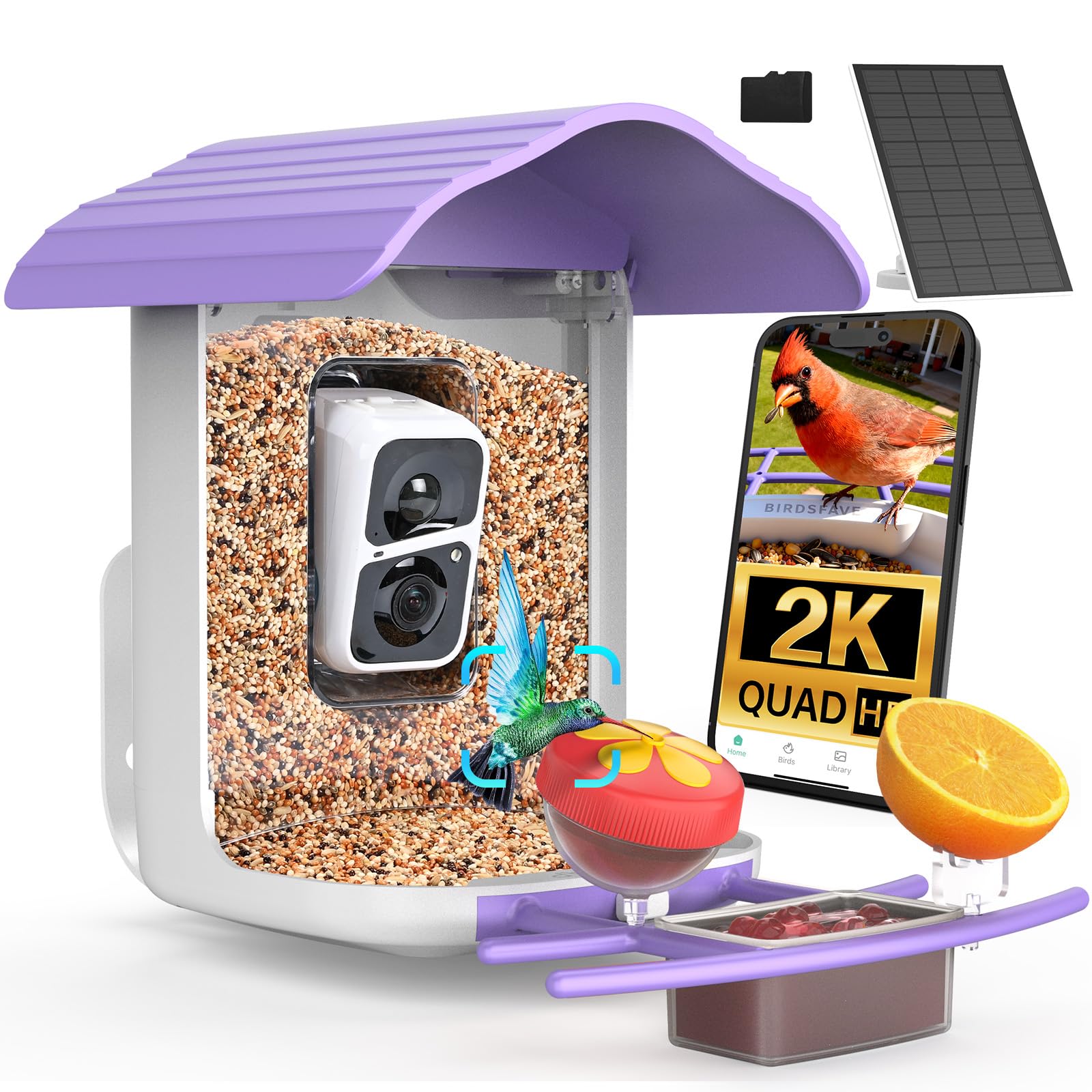 birdsnap front view showing camera and feeder, clear monitoring benefit