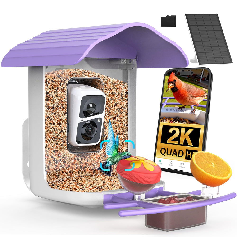 birdsnap front view showing camera and feeder, clear monitoring benefit
