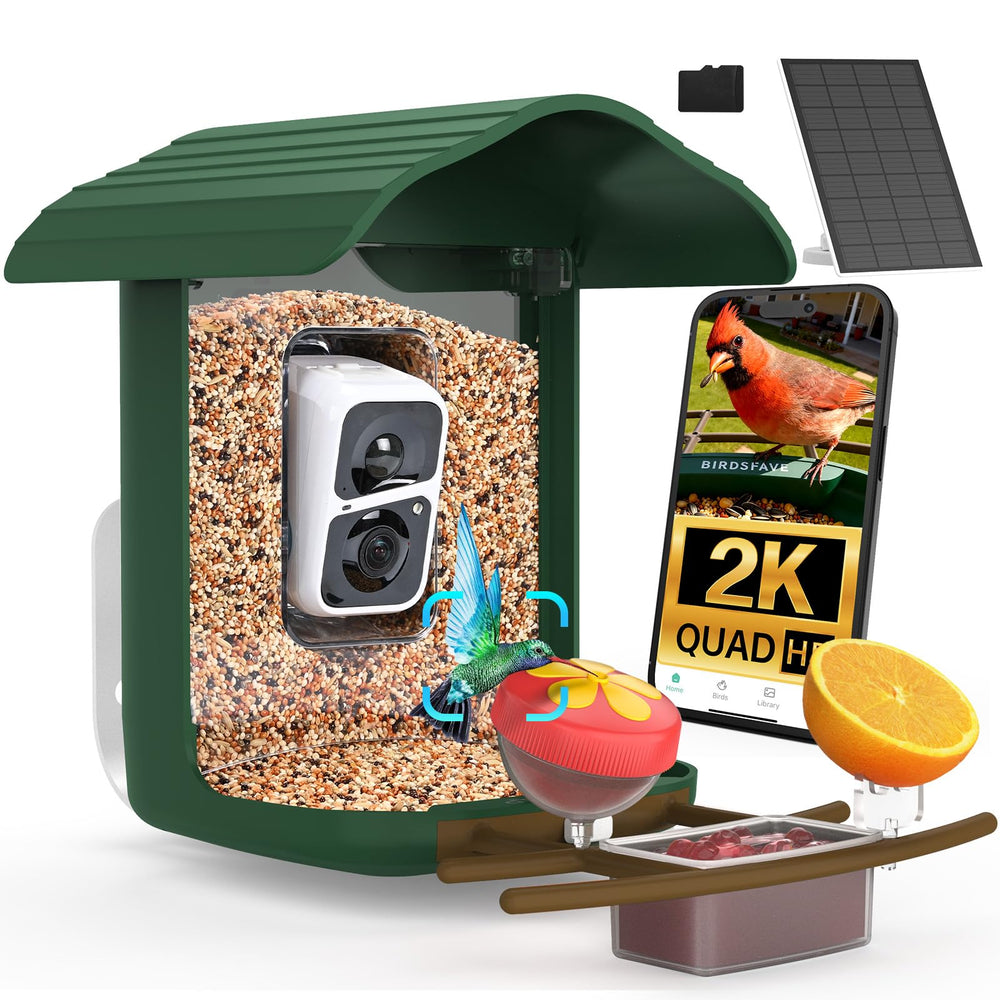 birdsnap PAV front view showing feeder and camera, clear observation benefit