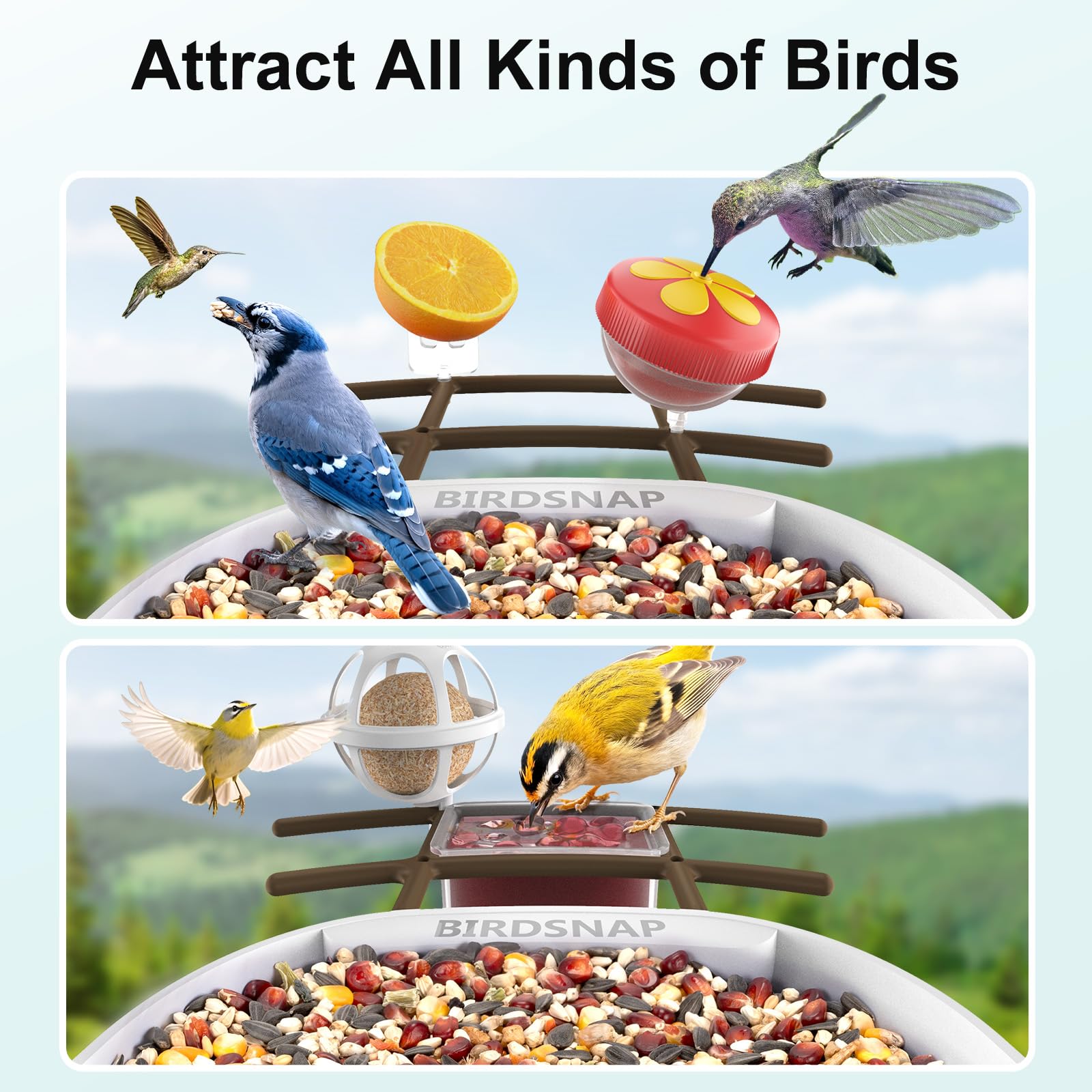birdsnap weatherproof seals illustrating IP65 protection for outdoor use
