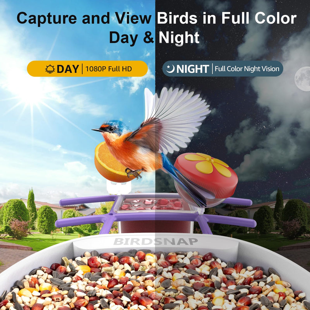 birdsnap feeder in rain demonstrating IP65 weatherproofing benefit