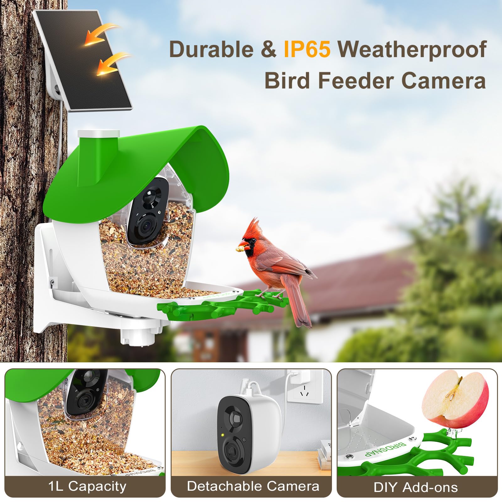 birdsnap size comparison on hand to show compact, space-saving footprint