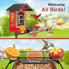birdsnap seed hopper and drainage holes keeping seeds dry benefit: fresher food for birds