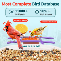 birdsnap seed hopper demonstrating 1.8L capacity for less frequent refills