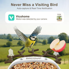birdsnap seed hopper detail showing 1L capacity for longer visits