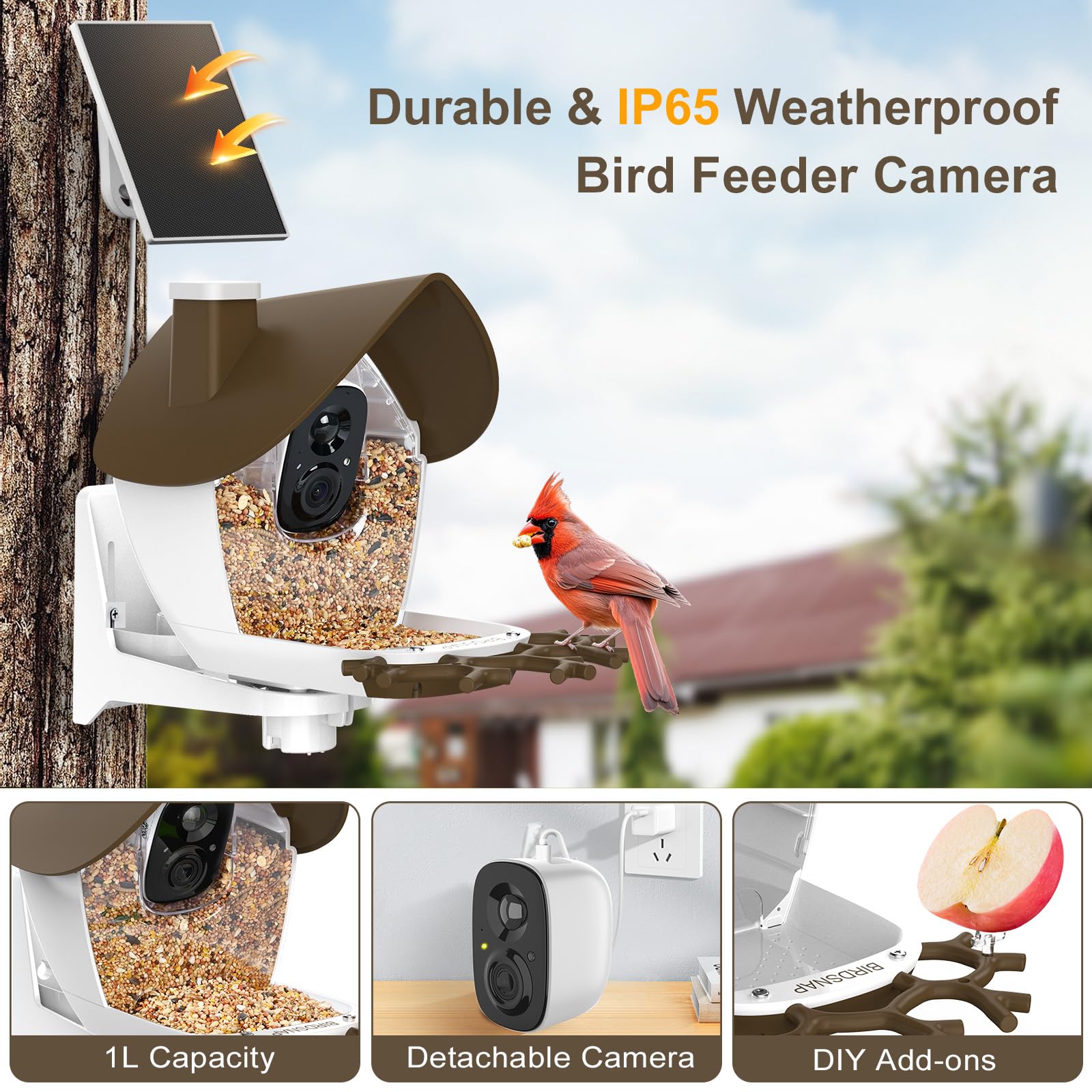 birdsnap size comparison in hand illustrating compact outdoor fit