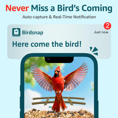 birdsnap solar panel mounted in sun powering feeder continuously
