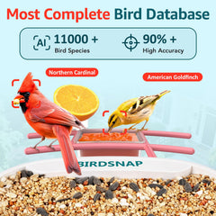 birdsnap close-up of 2K camera lens, sharp video detail