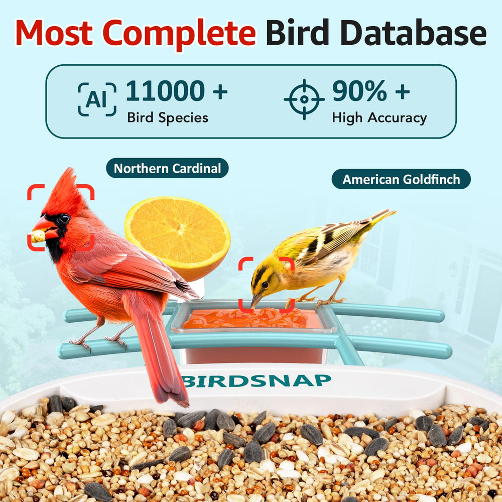 birdsnap close-up of camera lens highlighting 2K detail for sharper footage
