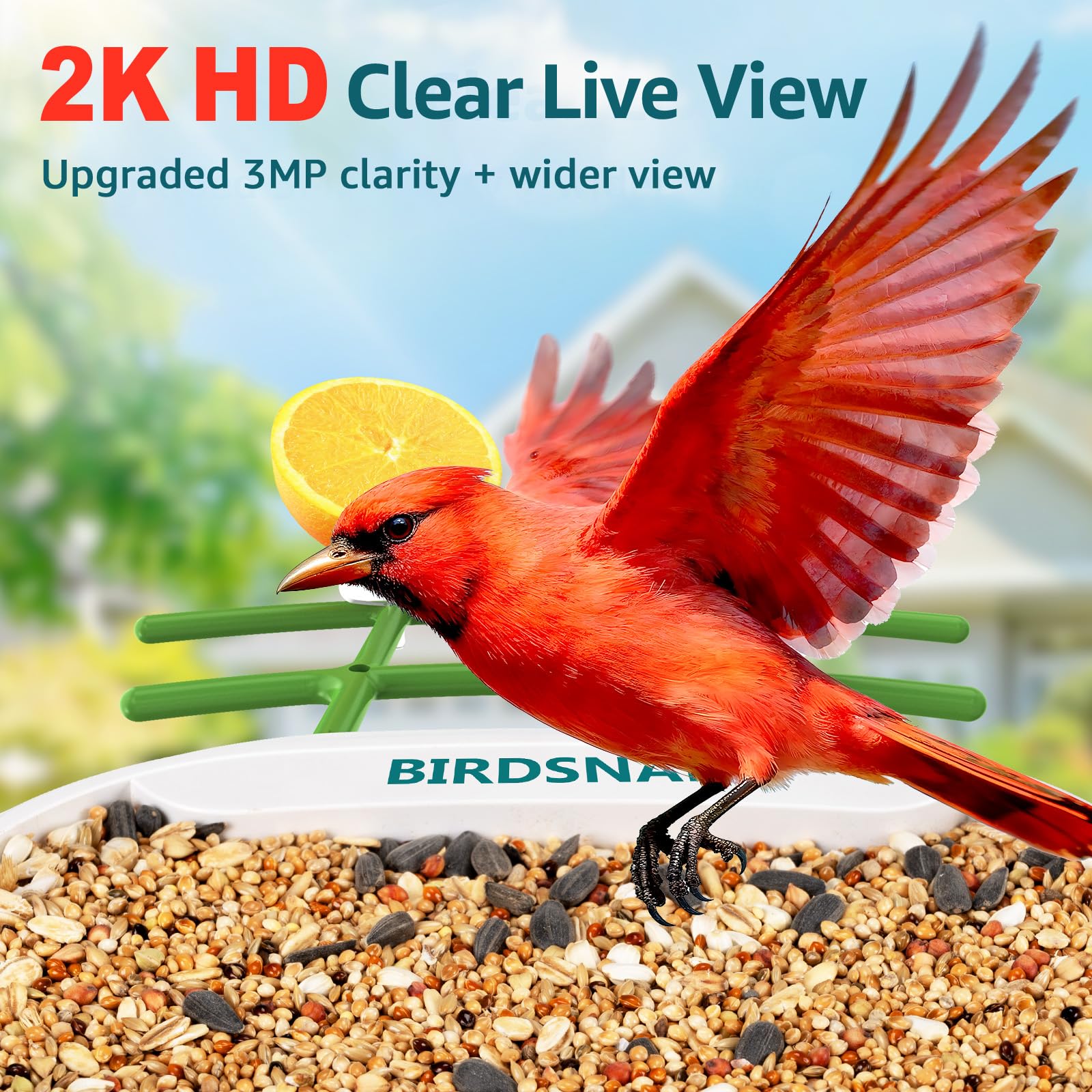 birdsnap camera lens close-up highlighting 2K clarity for detail