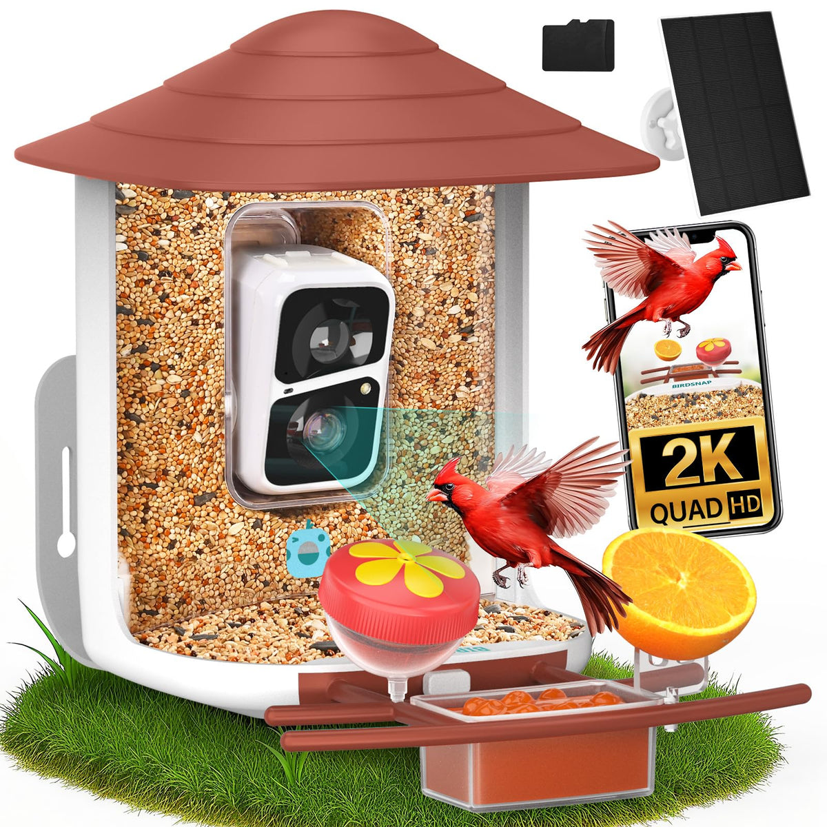 birdsnap TUC front view showing feeder and camera recording benefit