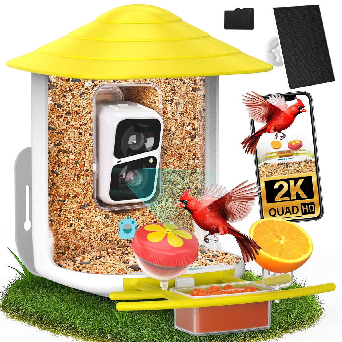 birdsnap TUC front view showing feeder and camera for clear backyard observation