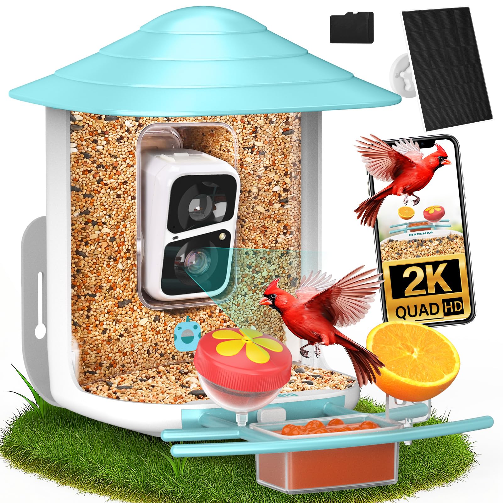 birdsnap front view of TUC showing feeder and camera, clear observation benefit