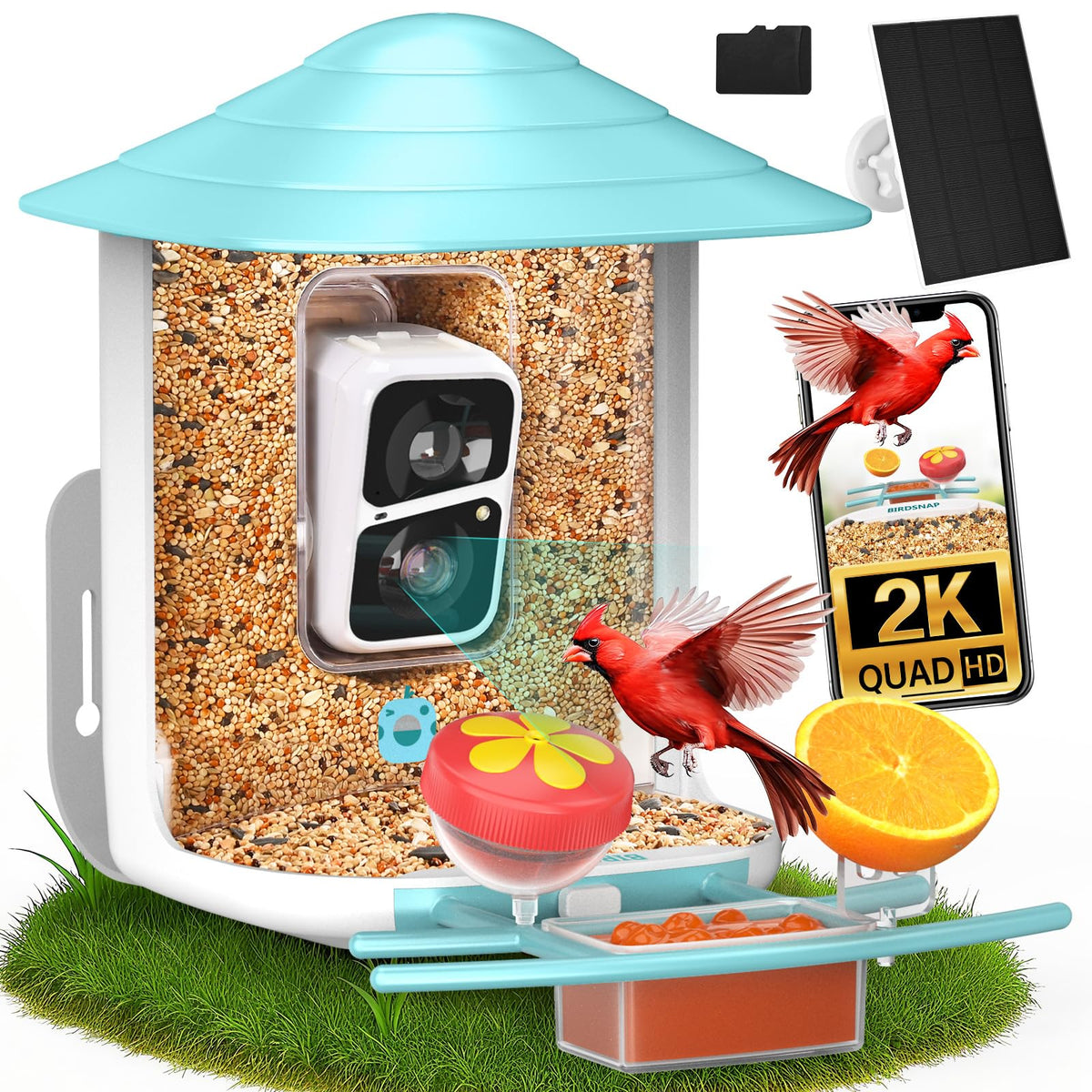 birdsnap front view of TUC showing feeder and camera, clear observation benefit