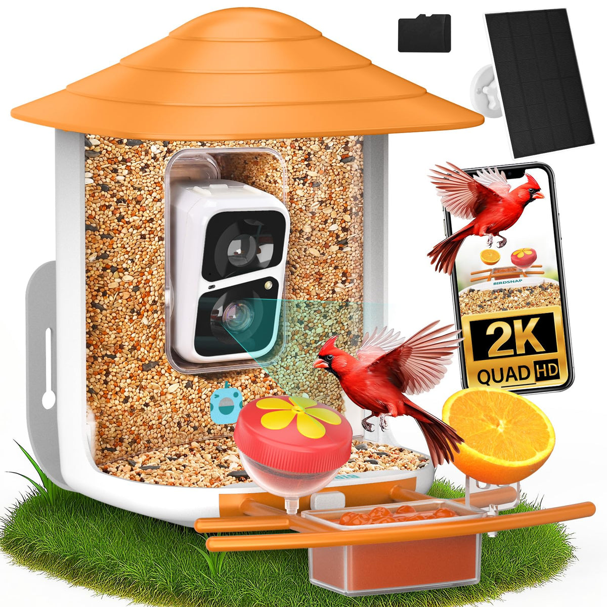 birdsnap TUC front view showing feeder and camera for clear backyard monitoring