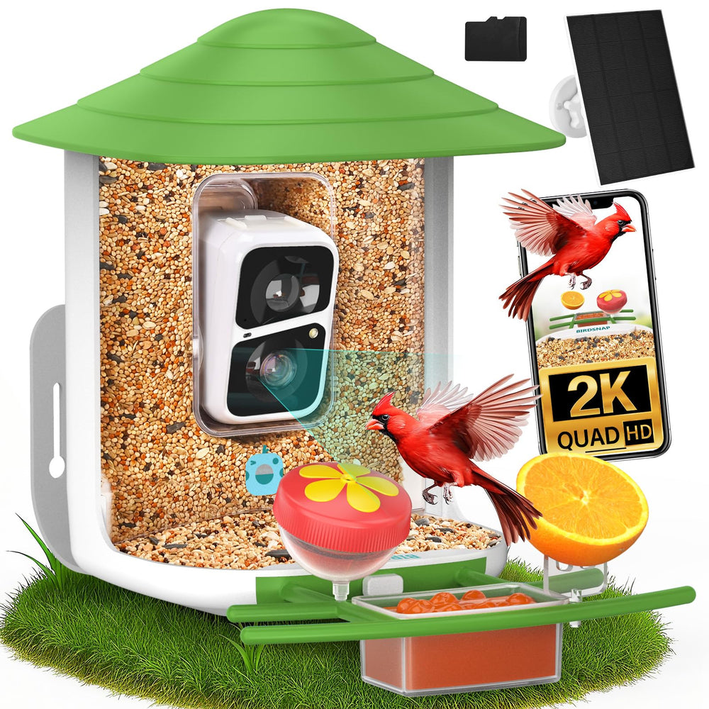 birdsnap front view showing feeder and camera, clear curb appeal