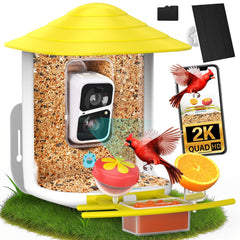 birdsnap TUC front view showing feeder and camera for clear backyard observation