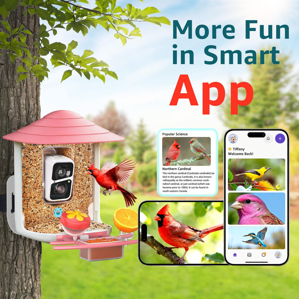birdsnap fruit holder attachment with bait, attracts varied species
