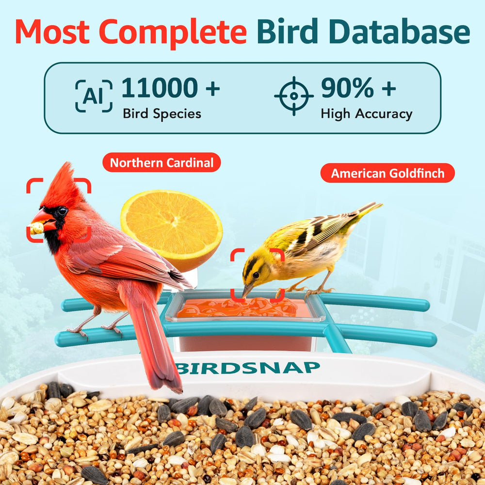birdsnap TUC fruit holder attachment filled, attracts fruit-eating species easily