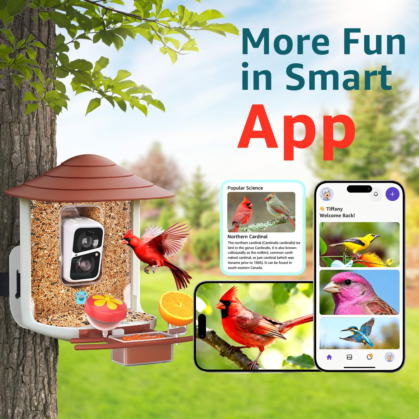 birdsnap TUC assorted attachments including fruit and hummingbird feeders to attract species benefit
